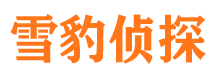 峄城私家侦探公司